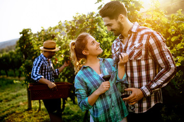 People tasting wine in vineyard