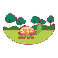 turtle cute cartoon