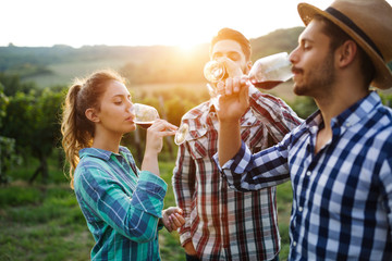 Wine growers tasting wine in vineyard - obrazy, fototapety, plakaty
