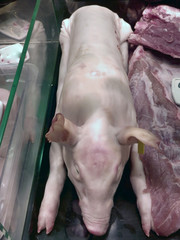 Suckling pig in butcher market stall