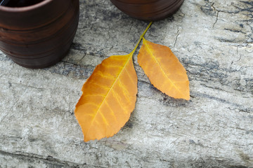 clay cups with tea on wood and fallen leaves. warm autumn and warming tea