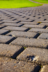 Garden stone path with grass