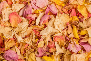 vintage rose petals background