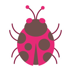 ladybug cute cartoon