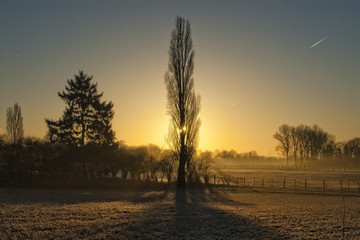 Gegenlicht