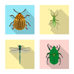 Vector design of insect and fly icon. Set of insect and element stock symbol for web.