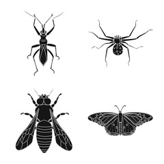 Vector design of insect and fly icon. Set of insect and element stock vector illustration.