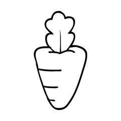 line drawing cartoon healthy carrot