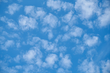 blue sky with white clouds