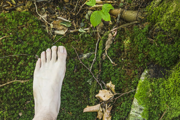A barefoot aerial view on mossy surface in the forest