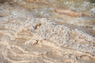 Dead Sea, Amman Beach,Jordan - September 28: vacationers and tourists bathe in the Dead Sea with Dead Sea mud in Amman Beach, Jordan