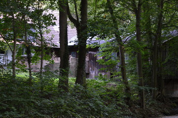 Ilsenburg im Harz, Sachsen - Anhalt