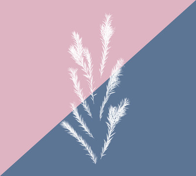 abstract background with leaves and sky