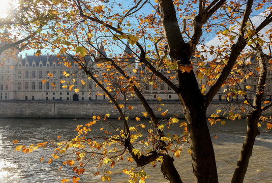  Paris in Autumn. The sun lights the river Seine, the turned yellow trees ashore and beautiful houses which make an architectural complex of the embankment
