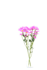 Naklejka premium Colorful flowers on white background,