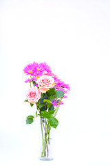 Colorful flowers on white background,