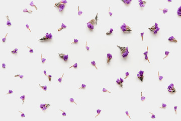 Flowers composition. Pattern made of dry lilac flowers on white background. Flat lay, top view