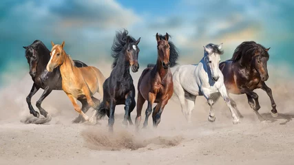 Fototapeten Horses run gallop free in desert dust against storm sky © kwadrat70