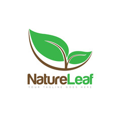 green leaf logo and icon Vector design Template. Vector Illustrator Eps10