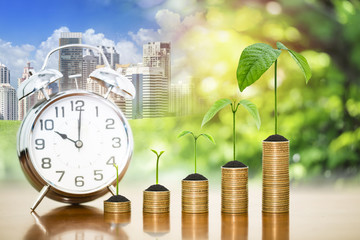 Money growing plants on money coins stack arranged as a graph and alarm clock with blur nature and big city background
