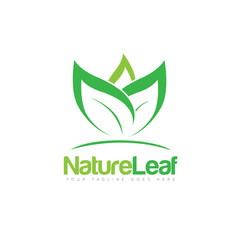green leaf logo and icon Vector design Template. Vector Illustrator Eps10