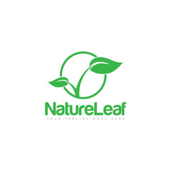 green leaf logo and icon Vector design Template. Vector Illustrator Eps10
