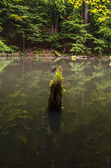 Jeziorka Duszatyńskie  © wedrownik52