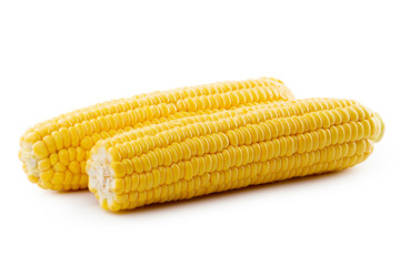 Corn on a white background