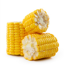 Corn on a white background