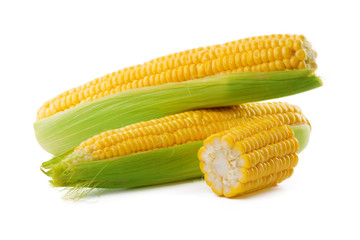 Corn on a white background