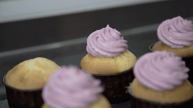 Putting blueberry butter cream on tasty cake. Close up
