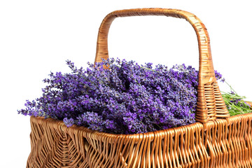 Fototapeta na wymiar Basket with a lavender, isolated on white background