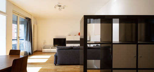 Modern living room with parquet and dark sofa