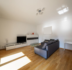 Modern living room with parquet and dark sofa