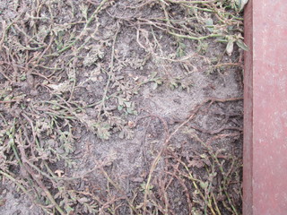 texture pattern nature textured