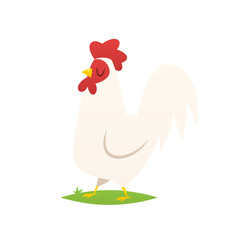Cartoon rooster vector isolated illustration