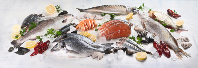 Fresh fish and seafood