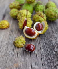 Chestnut on old wooden background
