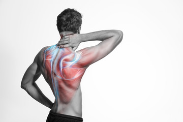 Man's back muscle and body structure. Human body view from behind isolated on white background.