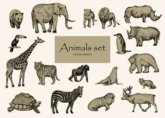 Vector hand drawn sketched animal set.