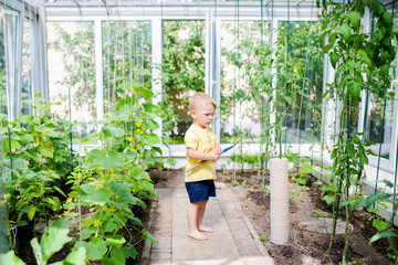 Cute toddler boy working in the greenhouse