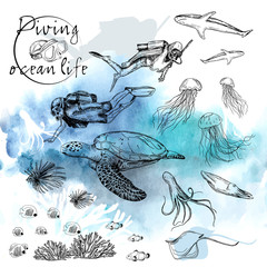 Vector illustration. Pen style vector sketch on underwater theme. Diver and ocean life. © Milana