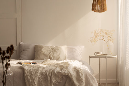 Plant on table next to bed with pillows and sheets in white simple bedroom interior. Real photo