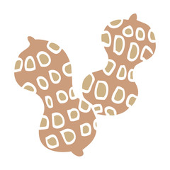 cartoon doodle peanut