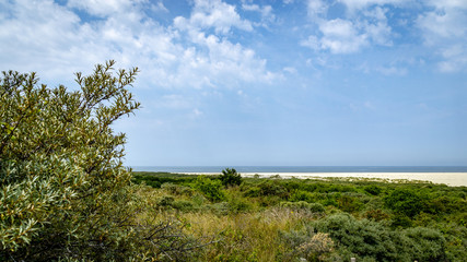 Fototapeta premium Blick auf die Nordsee