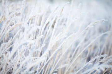 Winter background, blurred snow field landscape