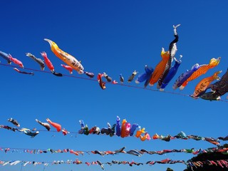 Koinobori, Carp streamer pray for growth of child