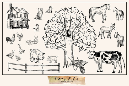 Vector illustration. Pen style drawn farm animals set:cow,horse, donkey, pig, rabbits, duck, hen, cock, dog, cats. Vector objects.