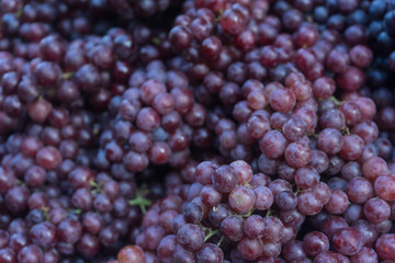 Bunch of fresh grapes without seeds