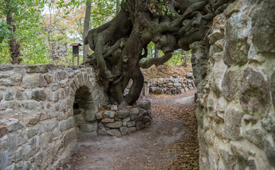 Burgruine Lauenburg, Harz